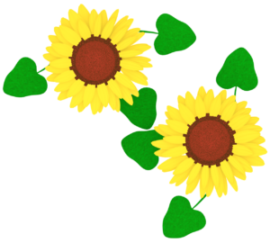 ２個並ぶヒマワリのイラスト