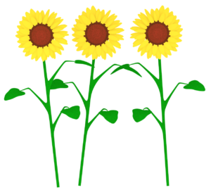 ３本のひまわりのイラスト
