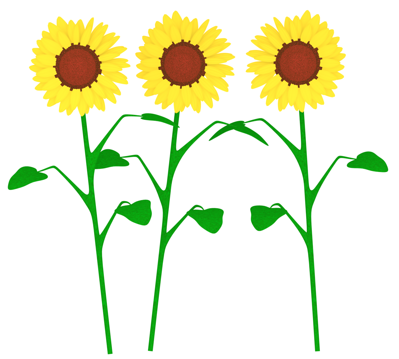 ３本のひまわりのイラスト