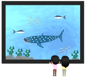 水族館でデートをするカップルのイラスト