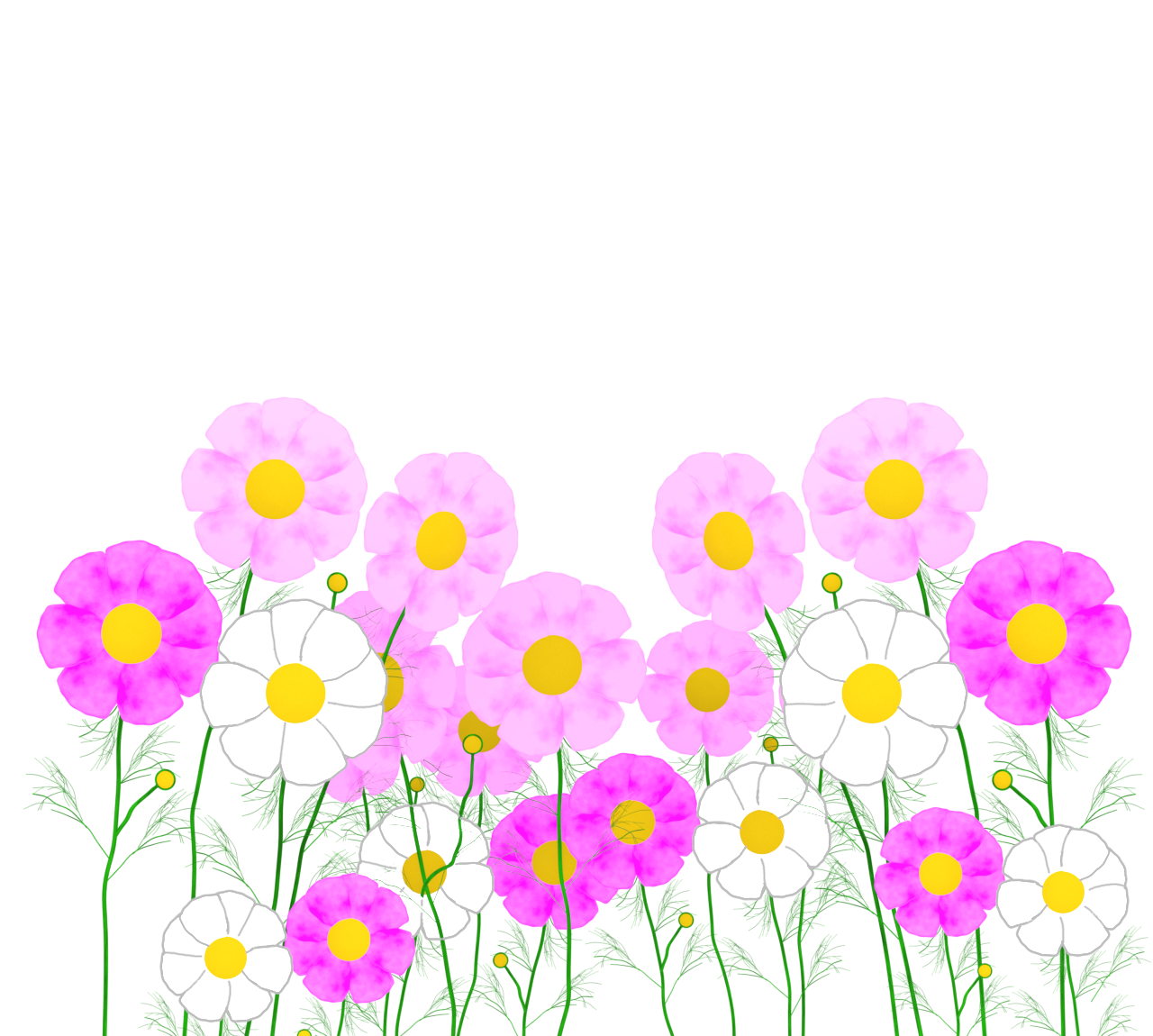 秋のコスモス畑のイラスト