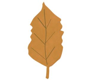 秋の落ち葉のイラスト