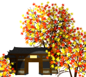 ライトアップをするお寺の紅葉のイラスト