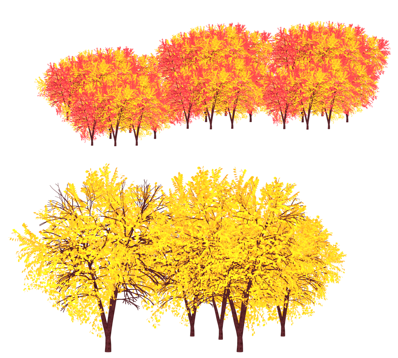 満開に色づく紅葉のイラスト