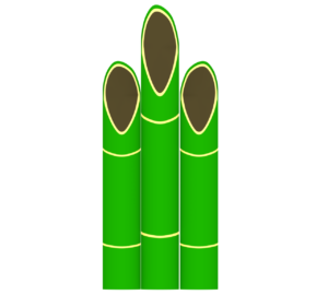竹のイラスト