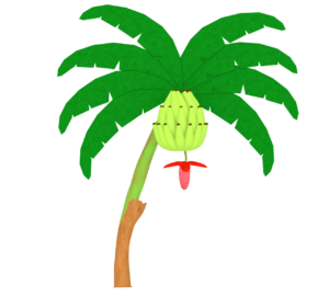 バナナの花のイラスト