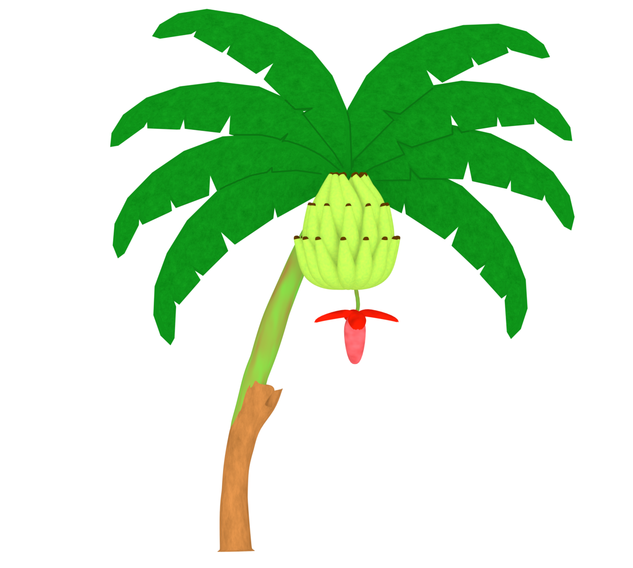 バナナの花のイラスト