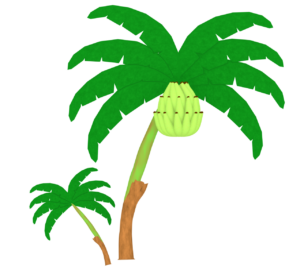 バナナの木と緑色のバナナのイラスト