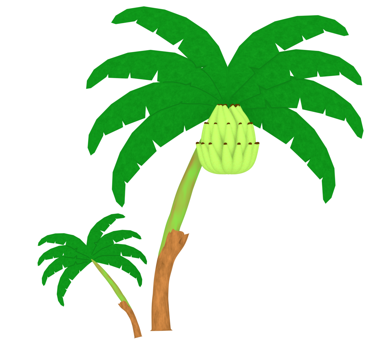 バナナの木と緑色のバナナのイラスト