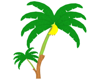 バナナの木のイラスト