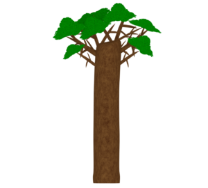 バオバブのイラスト