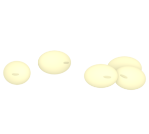 豆まきの大豆のイラスト