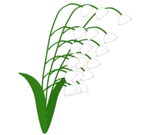 きれいなスズランの花のイラスト