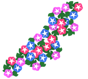 きれいな朝顔のイラスト