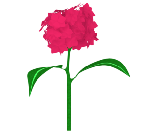 綺麗な紫陽花のイラスト