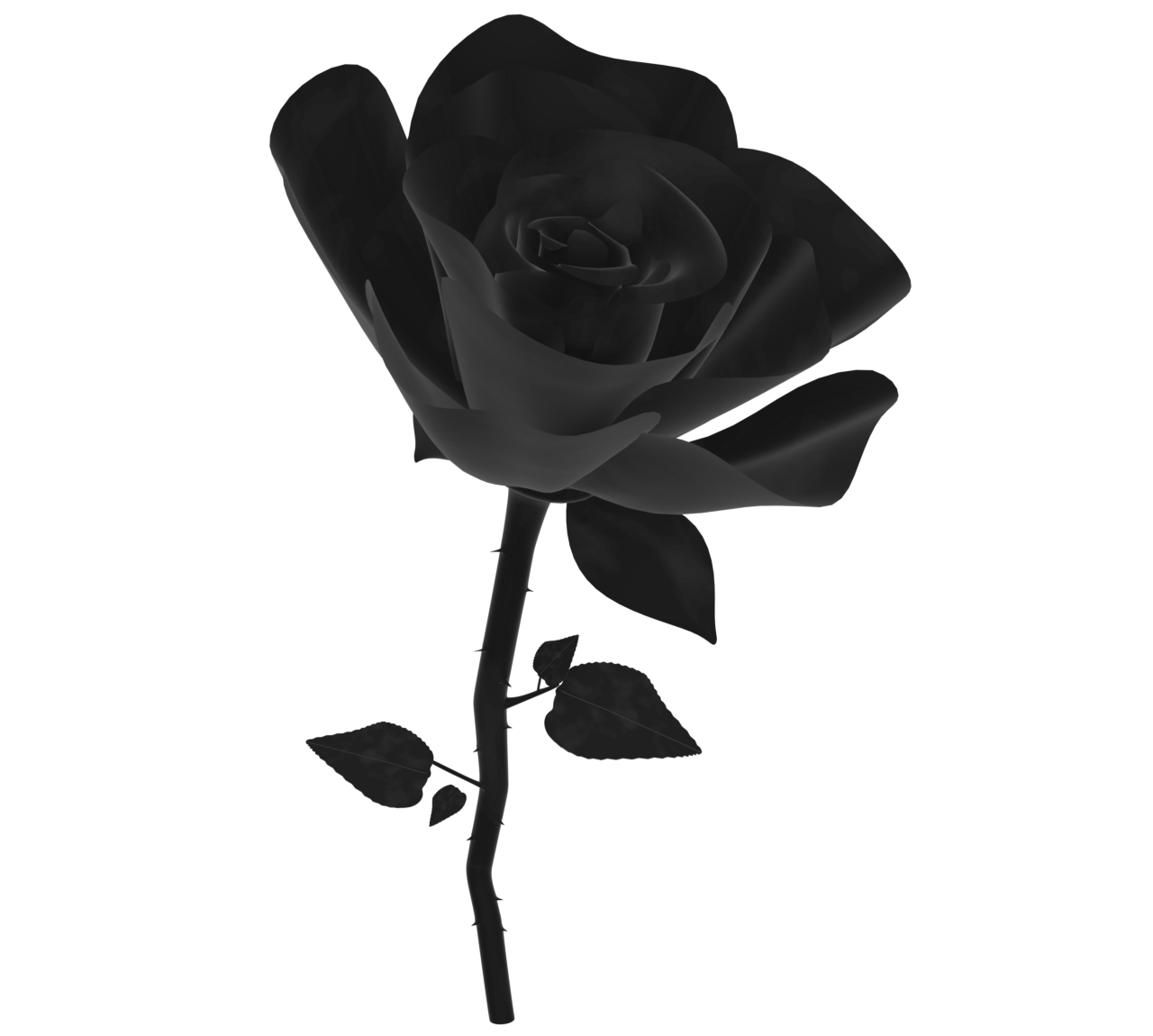 きれいな薔薇のシルエット