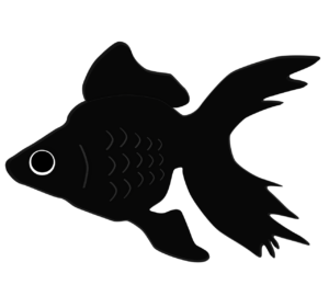 黒色の金魚のイラスト