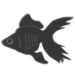 黒色の金魚のイラスト