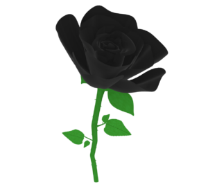 黒色の薔薇のイラスト