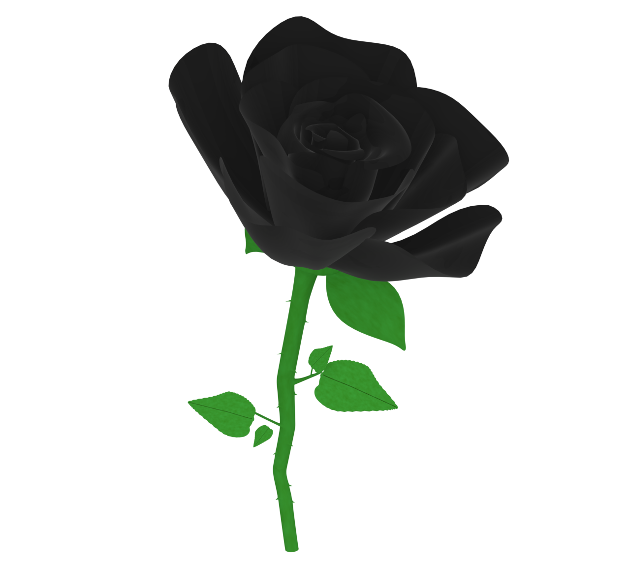 黒色の薔薇のイラスト