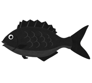 クロダイ・チヌのイラスト