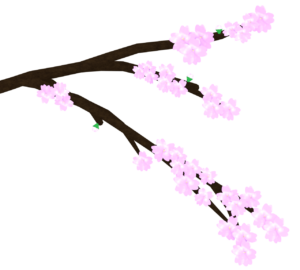 桜の開花のイラスト