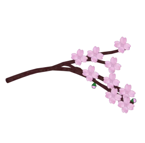 桜の開花のイラスト