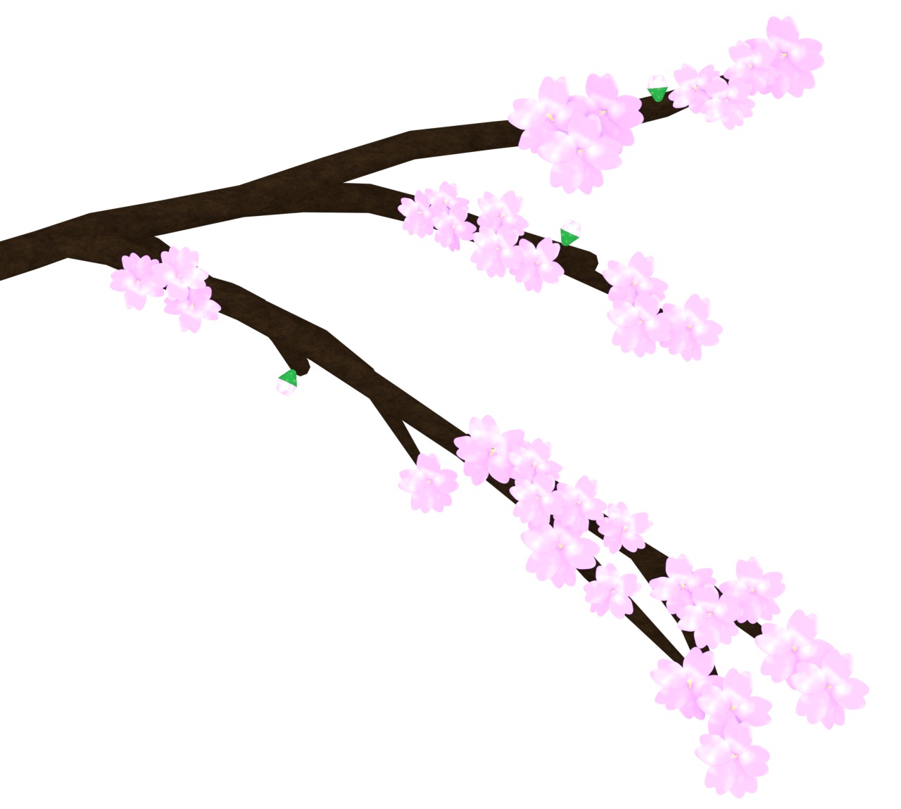 桜の開花のイラスト