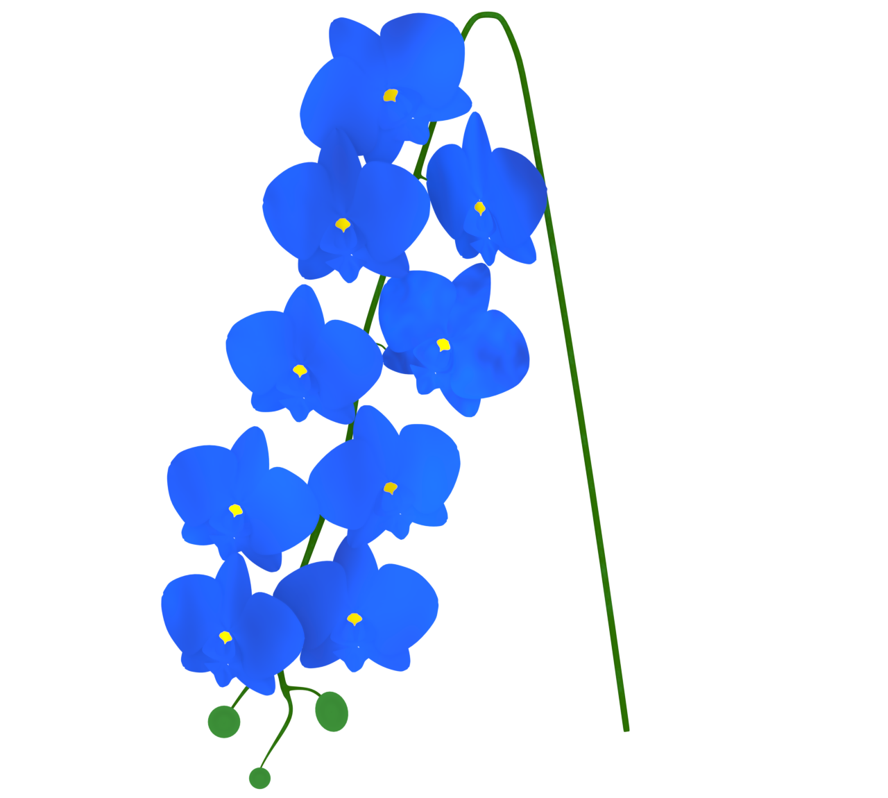 青色の胡蝶蘭のイラスト