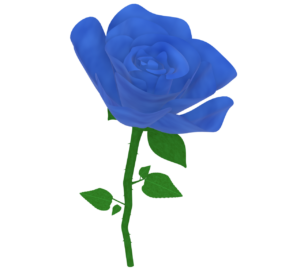 青色の薔薇のイラスト