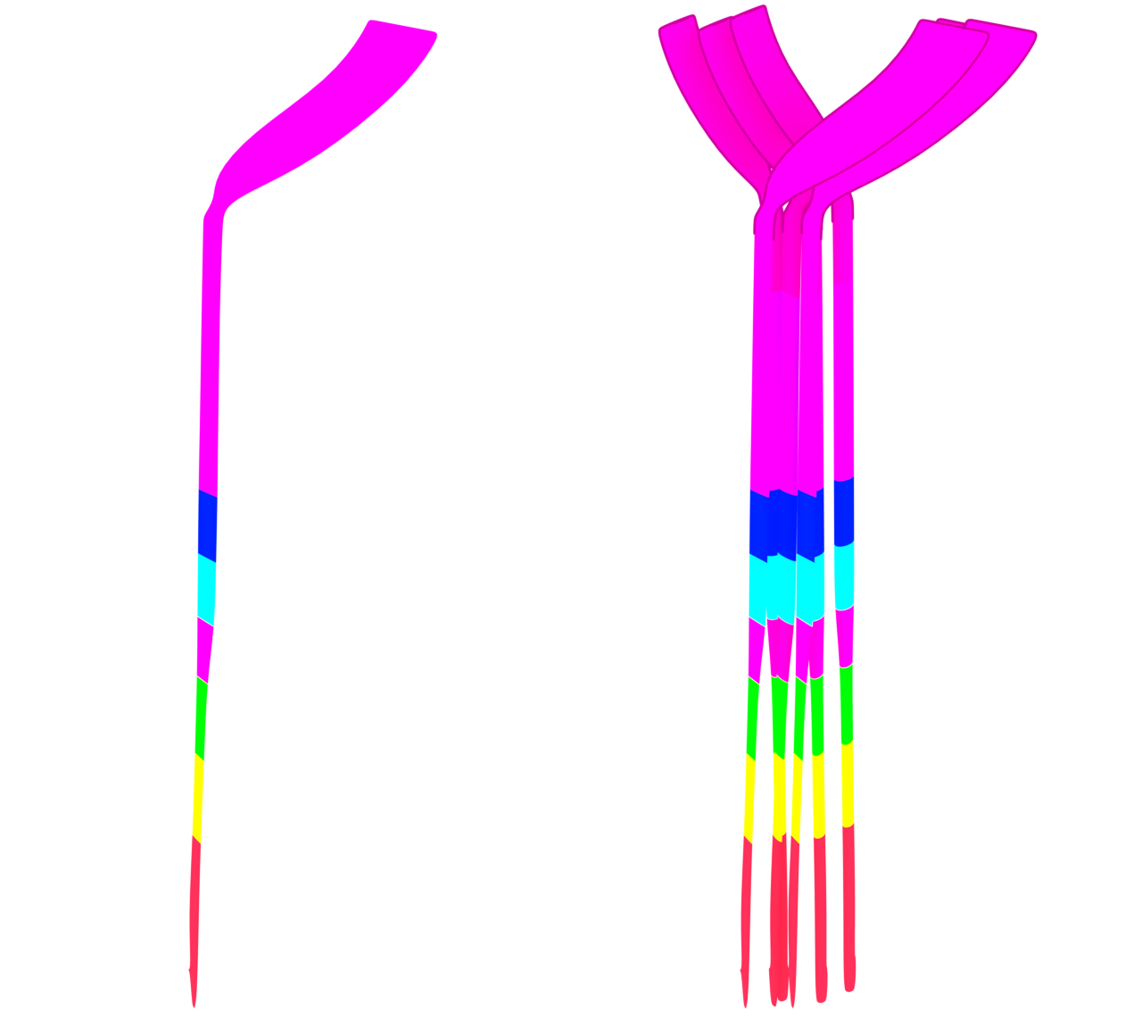 束になった線香花火のイラスト 12 束になった線香花火のイラスト