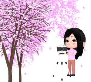 カメラで桜の木を撮る女性のイラスト