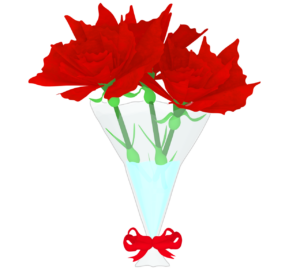 カーネーションの花束のイラスト