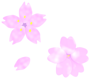 桜の花びらのイラスト