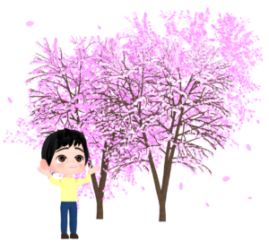 桜のお花見をする男性のイラスト