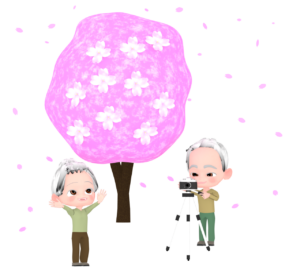 お花見で写真を撮る高齢者のイラスト