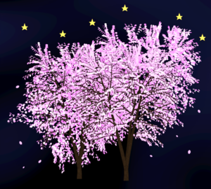 夜桜のイラスト