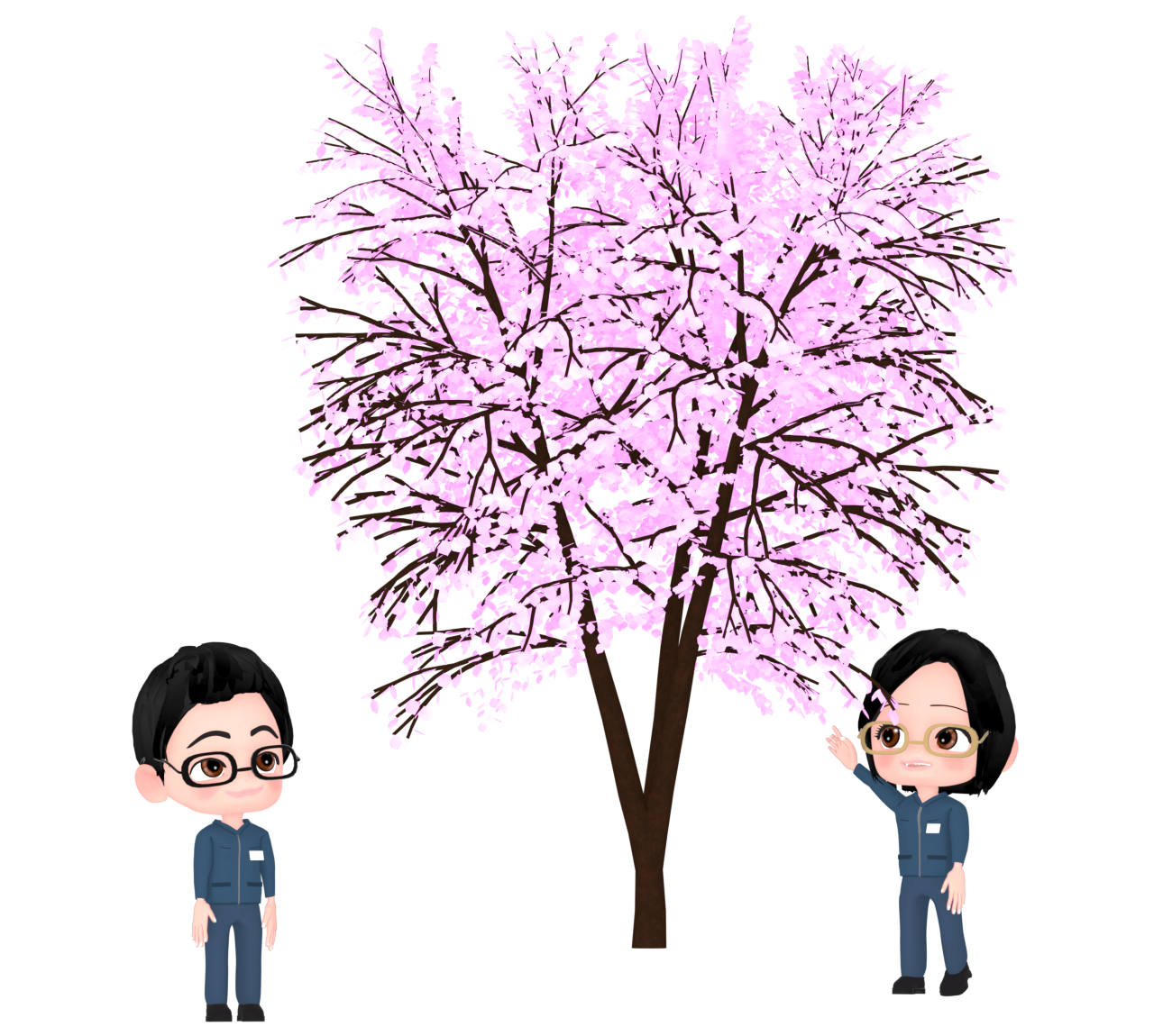 桜の開花を確認する桜守のイラスト