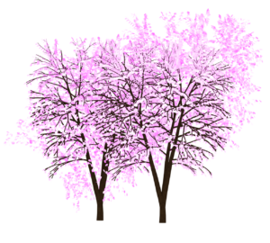 桜の木のイラスト