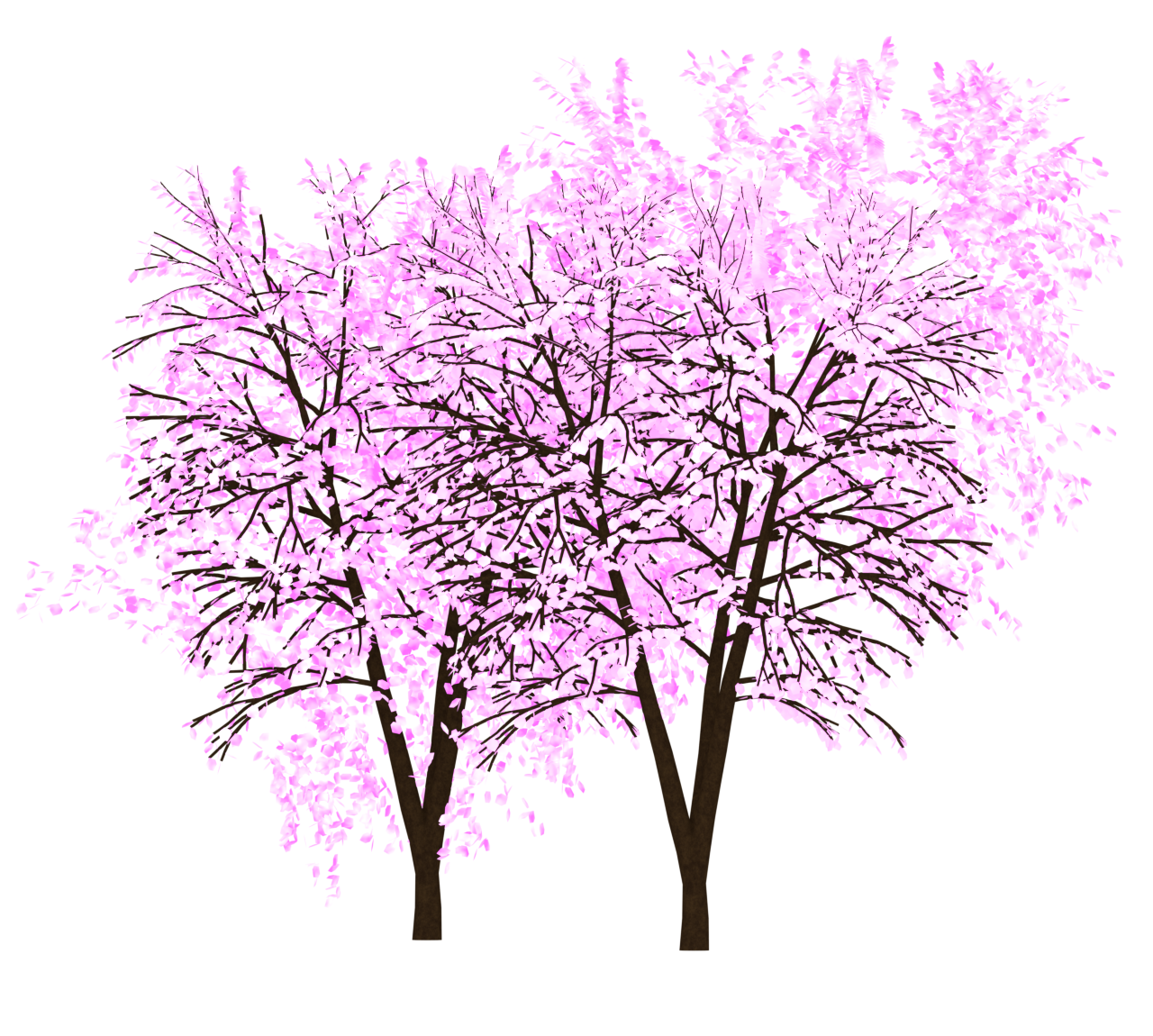 桜の木のイラスト