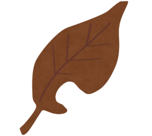 欠けた落ち葉のイラスト
