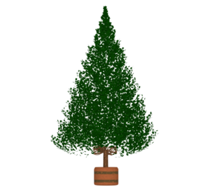 クリスマスツリーのもみの木のイラスト