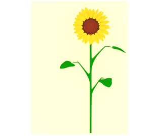 かっこいい向日葵のテンプレート