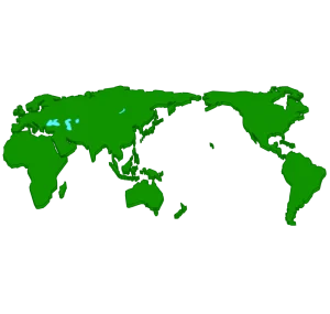 かっこいい世界地図のイラスト