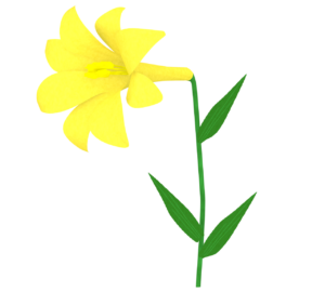 かっこいい黄色のユリの花のイラスト