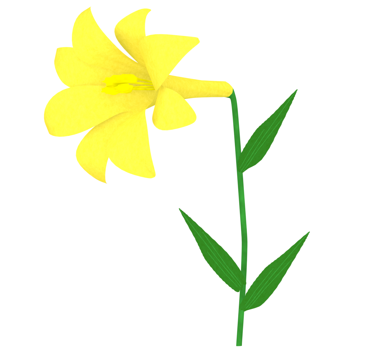 かっこいい黄色のユリの花のイラスト