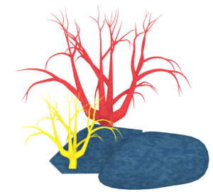 サンゴ岩のイラスト