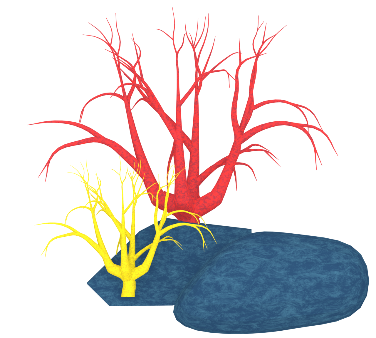 サンゴ岩のイラスト