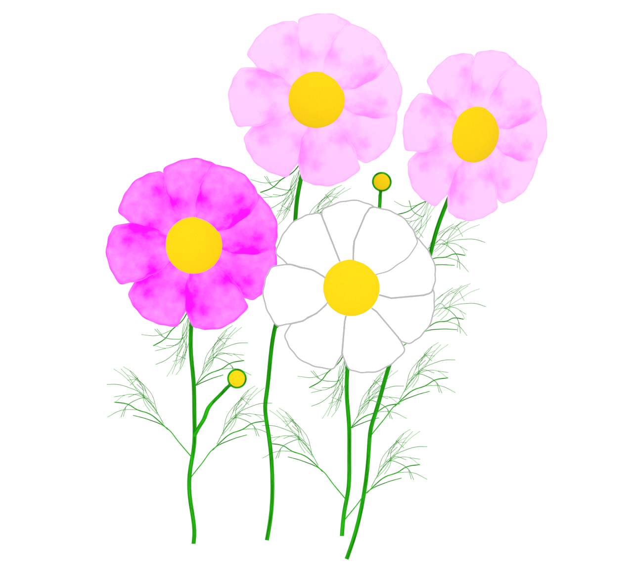 コスモス畑のイラスト