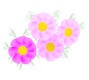 コスモスの花のイラスト